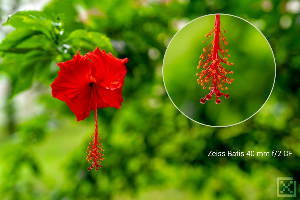 ZEISS Batis 2/40 CF Review 9